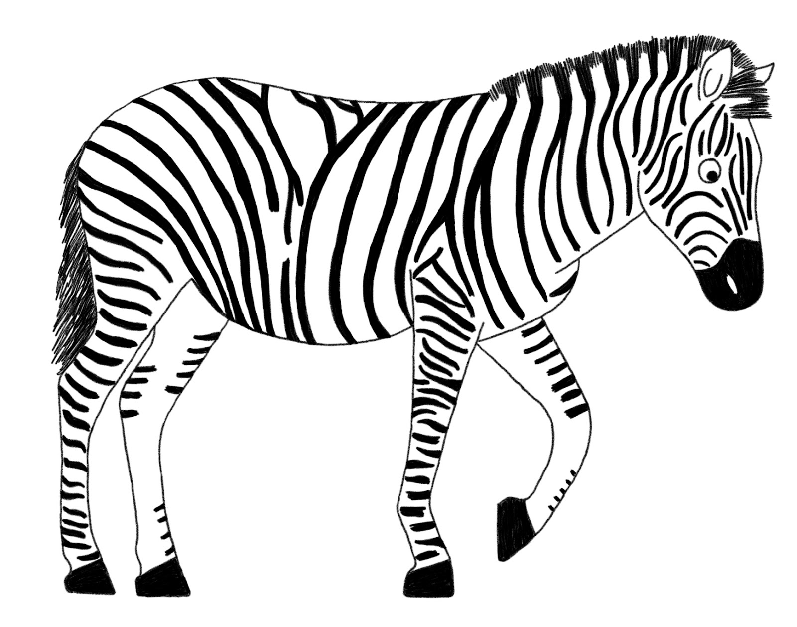 1600x1258 Zebra In Line Drawing - Zebra Drawing For Kid