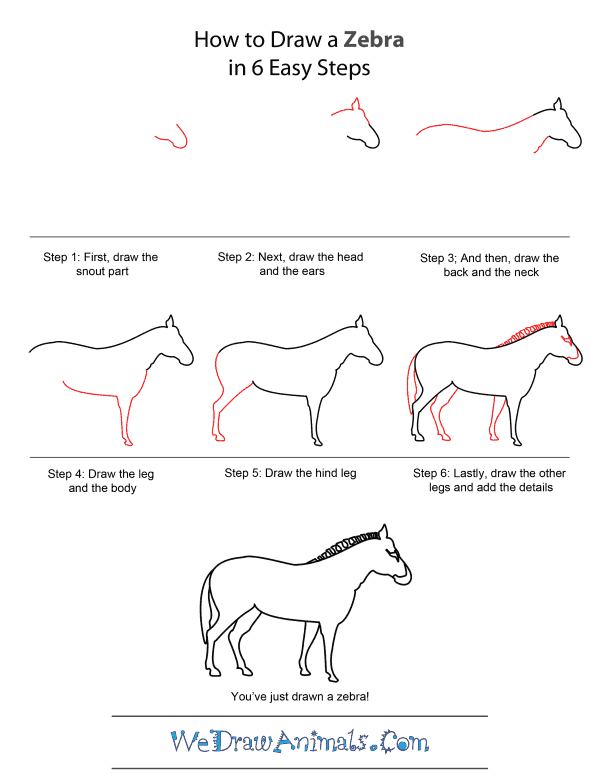 600x776 How To Draw A Zebra - Zebra Drawing Step By Step