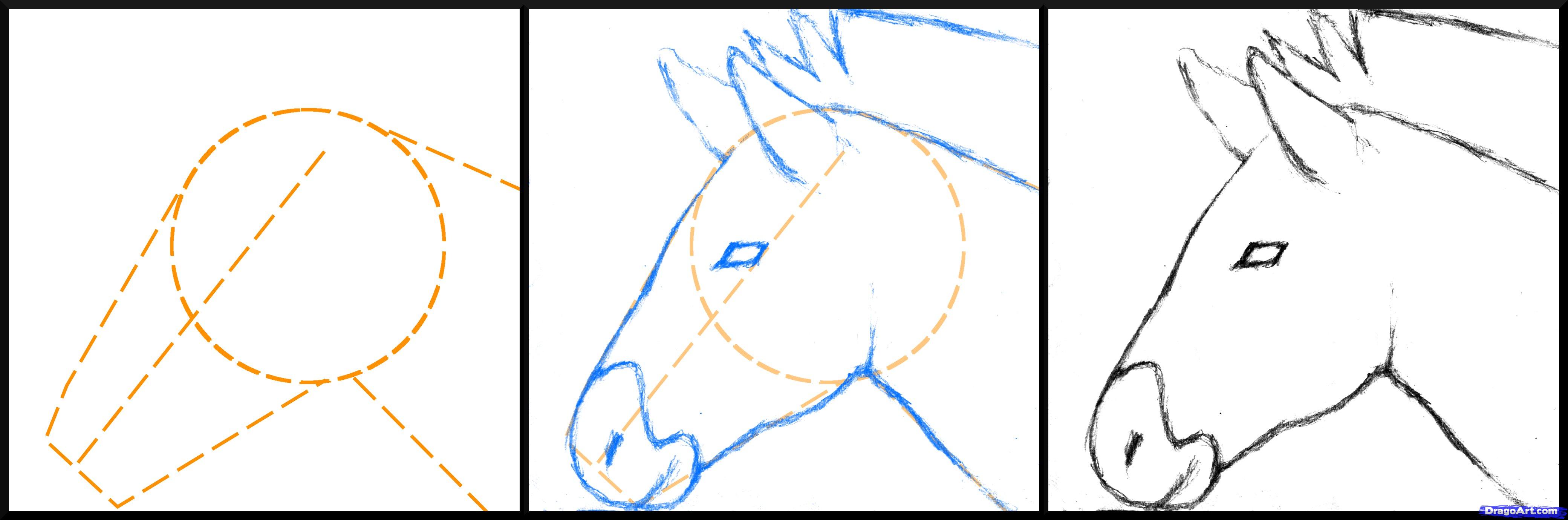 4161x1379 how to draw a zebra, draw a realistic zebra, step - Zebra Drawing Step By Step