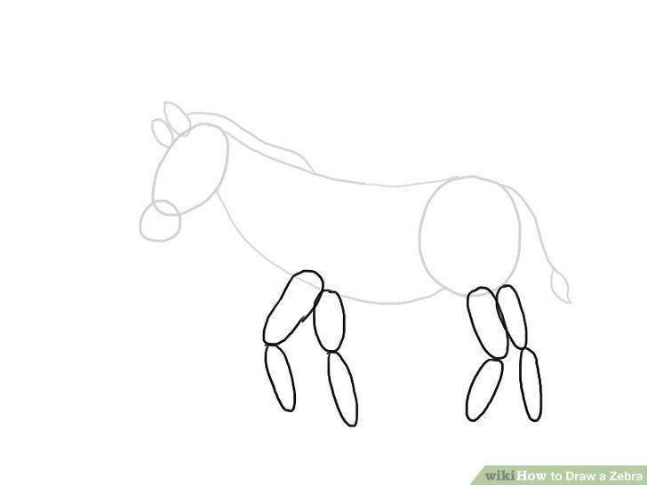 728x546 How To Draw A Zebra - Zebra Drawing Step By Step