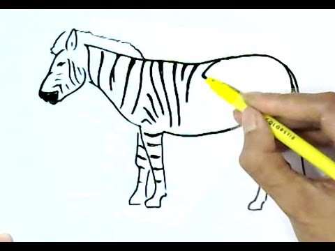 480x360 How To Draw A Zebra In Easy St Step - Zebra Drawing Step By Step