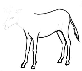 347x300 How To Draw A Zebra - Zebra Drawing Step By Step