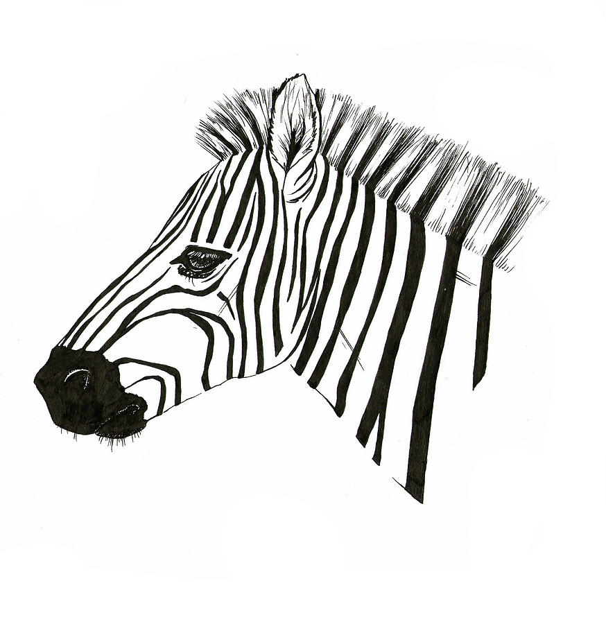 874x900 Zebra Drawing - Zebra Face Drawing
