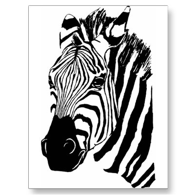 400x400 zebra face postcard decorative ideas zebra - Zebra Face Drawing