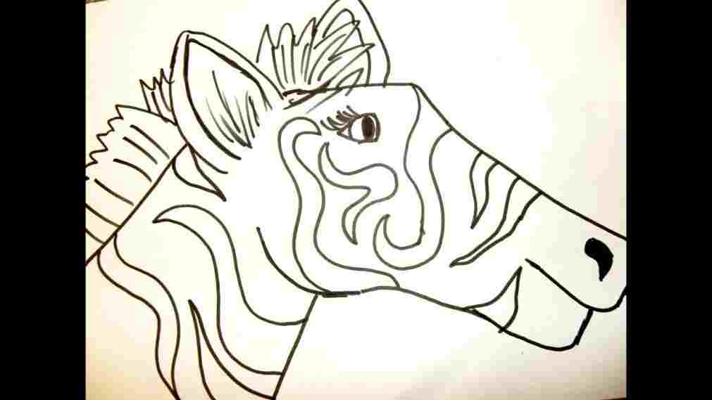1011x569 Zebra Face Drawing Easy - Zebra Face Drawing