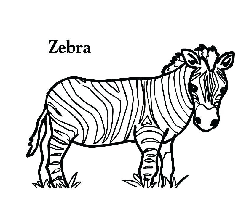 840x692 Coloring - Zebra Face Drawing