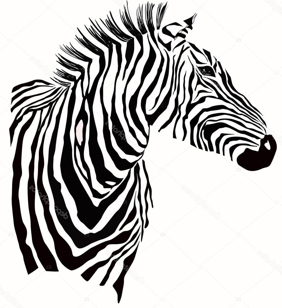 936x1023 Hd Zebra Face Drawing Pictures - Zebra Face Drawing