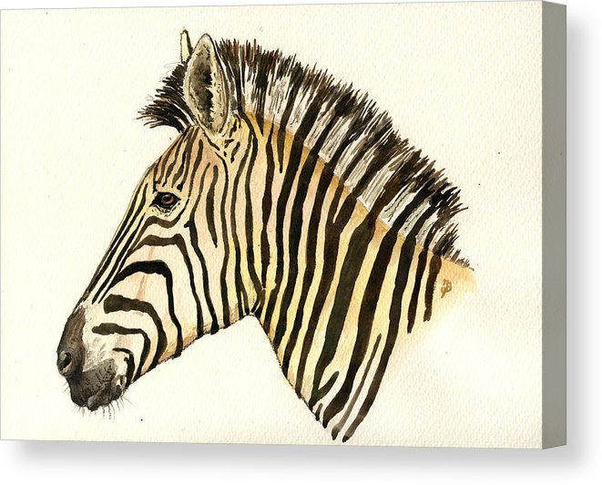 661x532 Zebra Head Study Canvas Print Canvas Art - Zebra Head Drawing