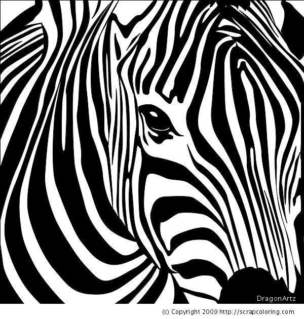 600x630 Zebra Head Coloring Page - Zebra Head Drawing