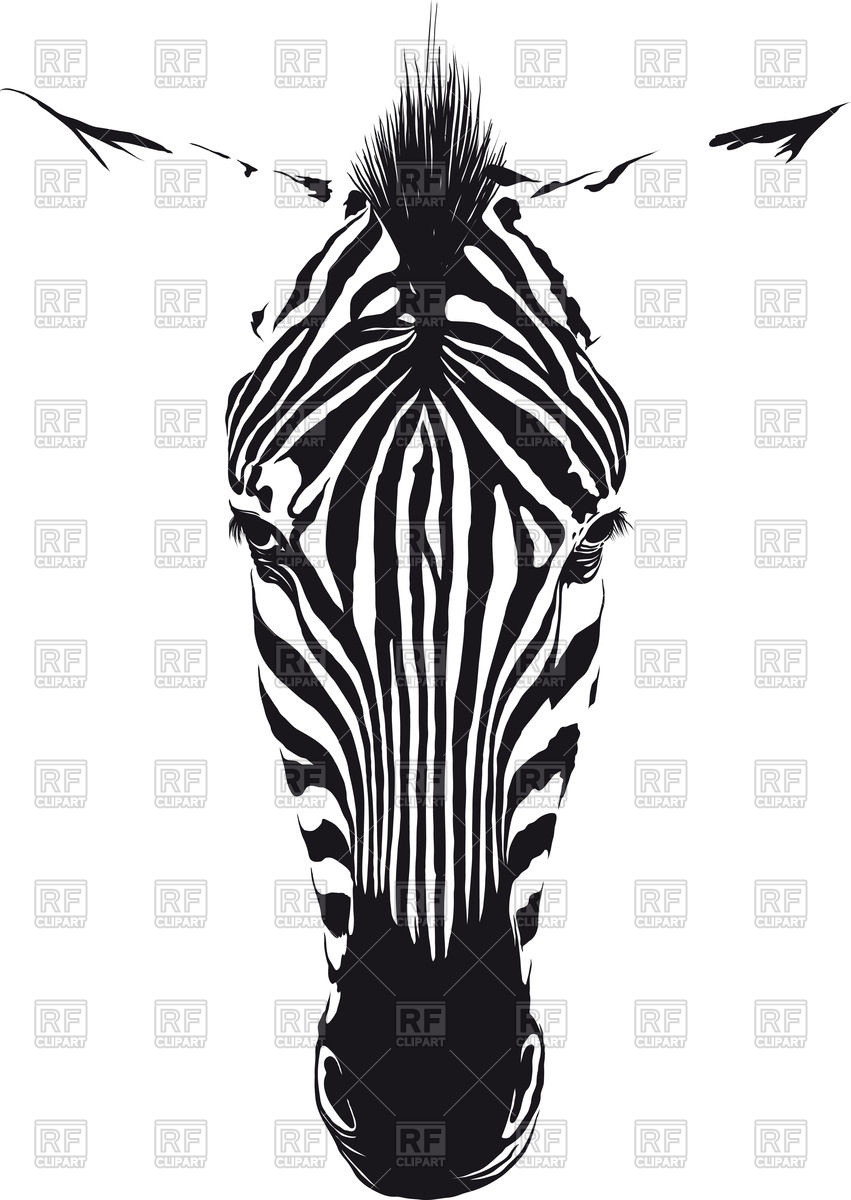 851x1200 Zebra Head From The Front Consisting Of Black Lines On A White - Zebra Head Drawing