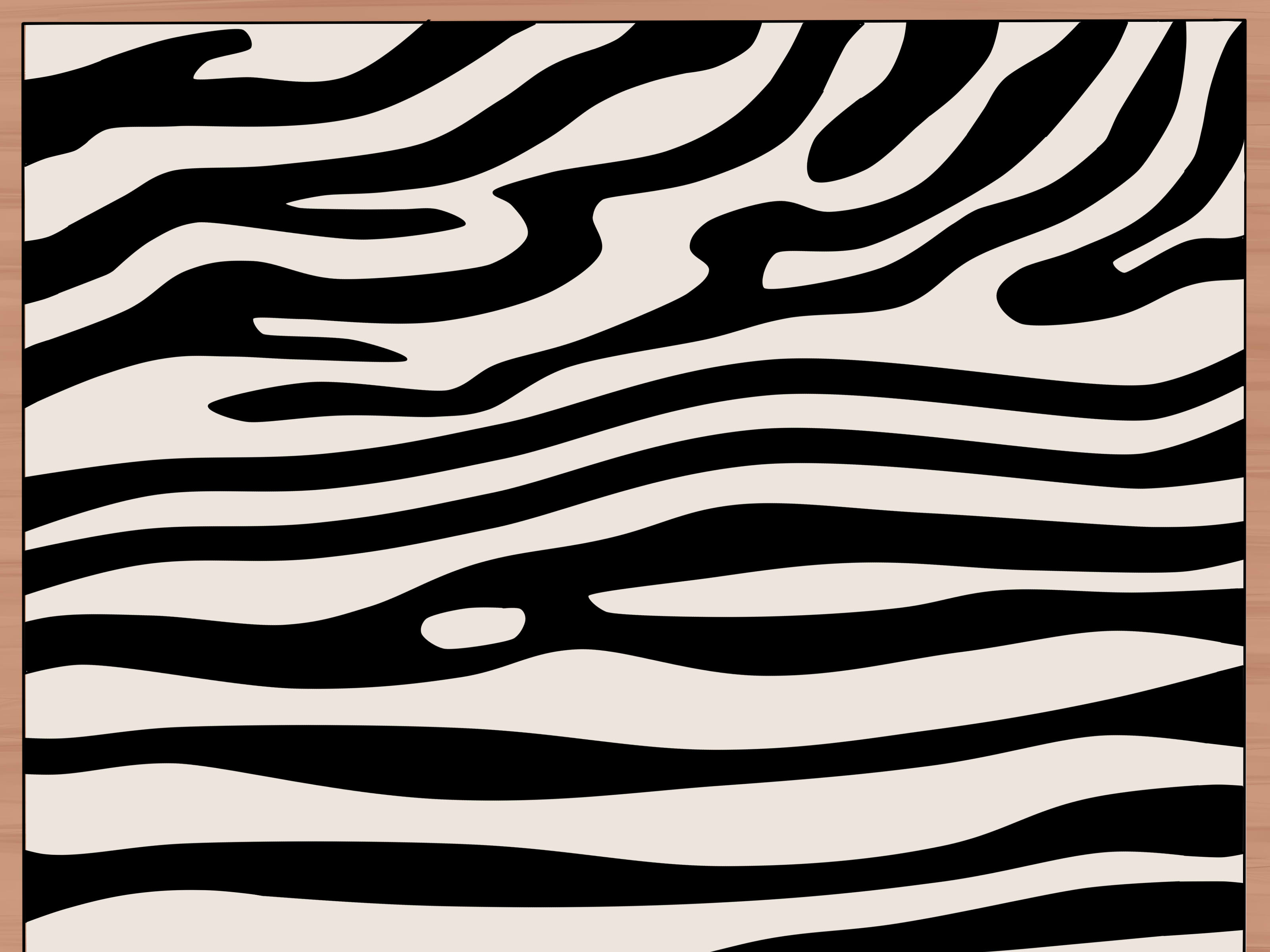 3200x2400 How To Draw Zebra Stripes Steps - Zebra Line Drawing