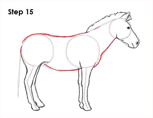 500x386 How To Draw A Zebra - Zebra Line Drawing