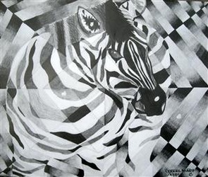 295x250 Shattered Drawing - Zebra Line Drawing