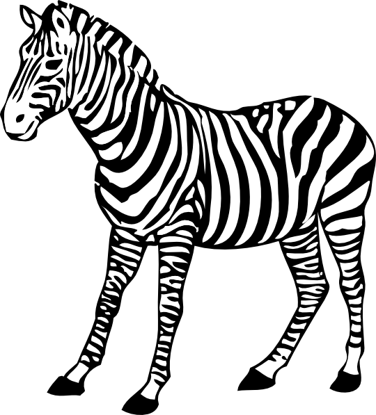 540x597 Zebra Drawing Free Download - Zebra Line Drawing