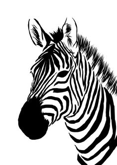 Zebra Line Drawing at PaintingValley.com | Explore collection of Zebra ...