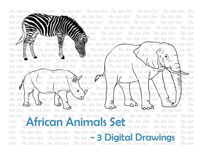 794x613 African Animal Line Drawing Set Realistic Zebra Elephant Etsy - Zebra Line Drawing