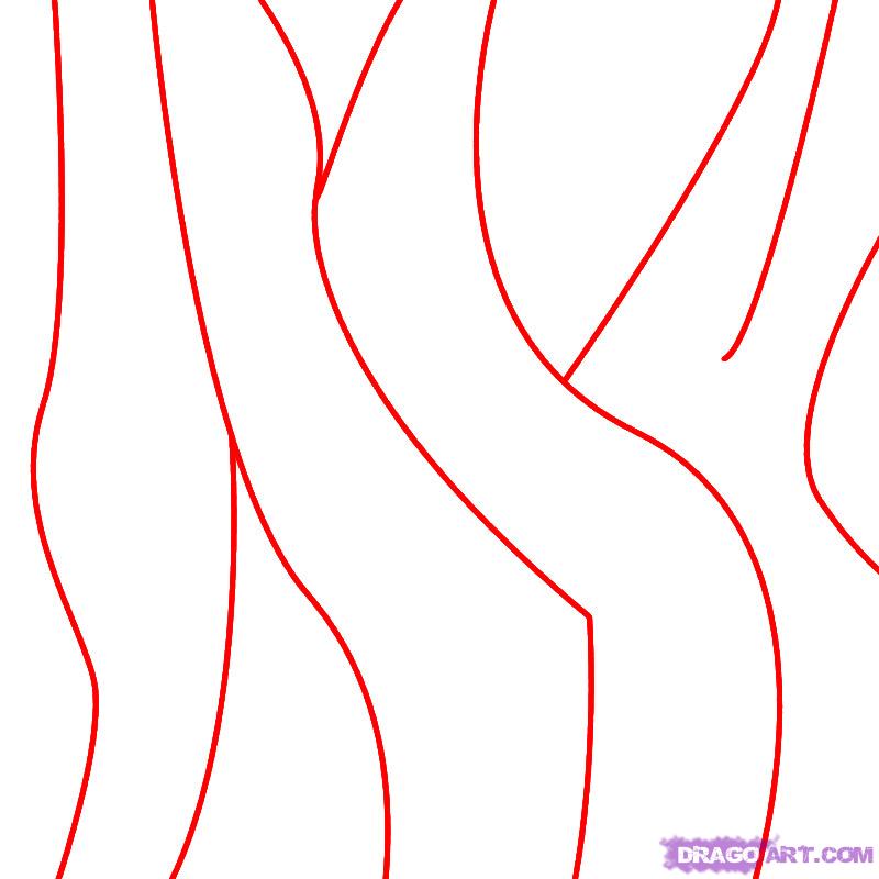 800x800 How To Draw Zebra Stripes, Step - Zebra Print Drawing