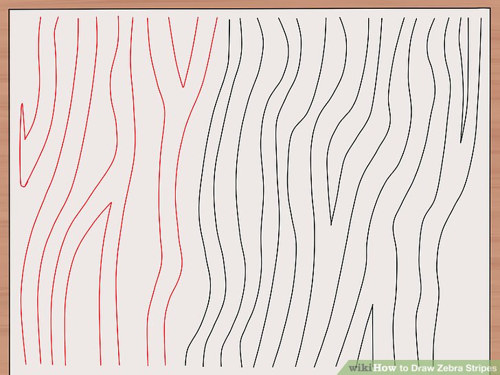 728x546 How To Draw Zebra Stripes Steps - Zebra Print Drawing