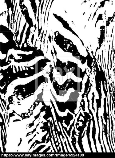 374x512 Zebra Print Background Closeup Vector - Zebra Print Drawing