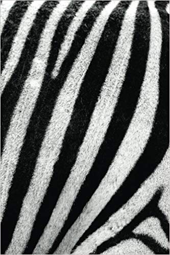 333x499 Zebra Print Journal Log Doodle Sketch Drawing Note - Zebra Print Drawing