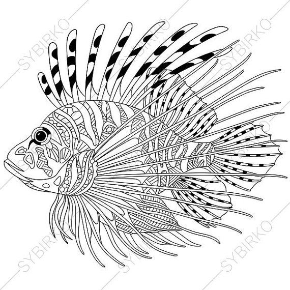 570x570 Ocean World Lionfish Zebrafish Coloring Pages Animal - Zebrafish Drawing