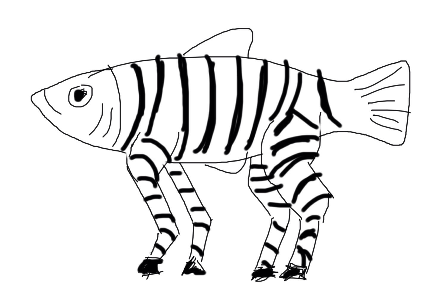 Zebrafish Drawing at Explore collection of