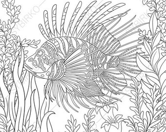 340x270 Zebrafish Etsy - Zebrafish Drawing