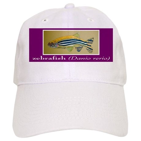 460x460 Zebrafish Drawing Gifts - Zebrafish Drawing