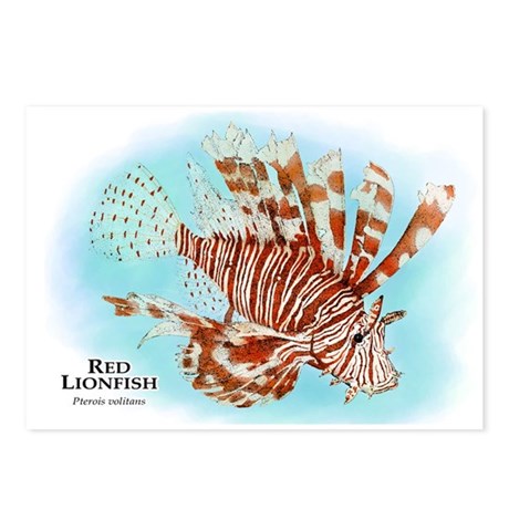 460x460 Zebrafish Drawing Postcards - Zebrafish Drawing