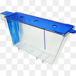 260x260 Zebrafish Png - Zebrafish Drawing