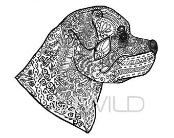 340x270 zen drawing for free download - Zen Drawing