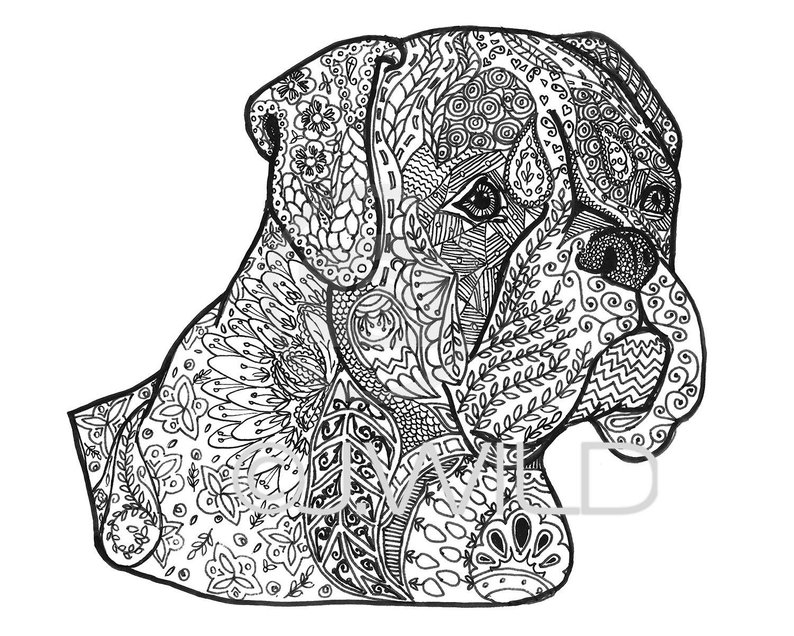 794x636 boxer zen drawing black white etsy - Zen Drawing
