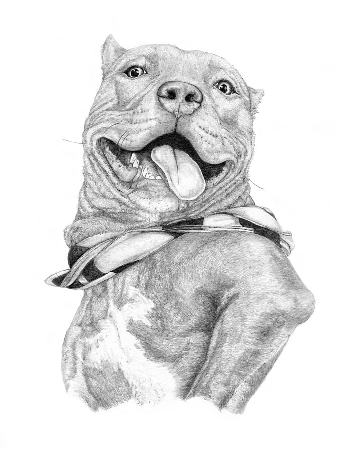 716x900 zeus the look of happiness drawing - Zeus Drawing