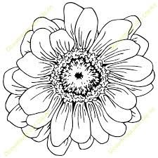 225x225 image result for zinnia flowers drawing colouring pages - Zinnia Flower Drawing