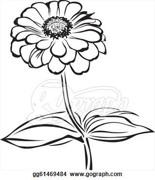 318x370 pix for gt zinnia flower drawing working in a series studies - Zinnia Flower Drawing