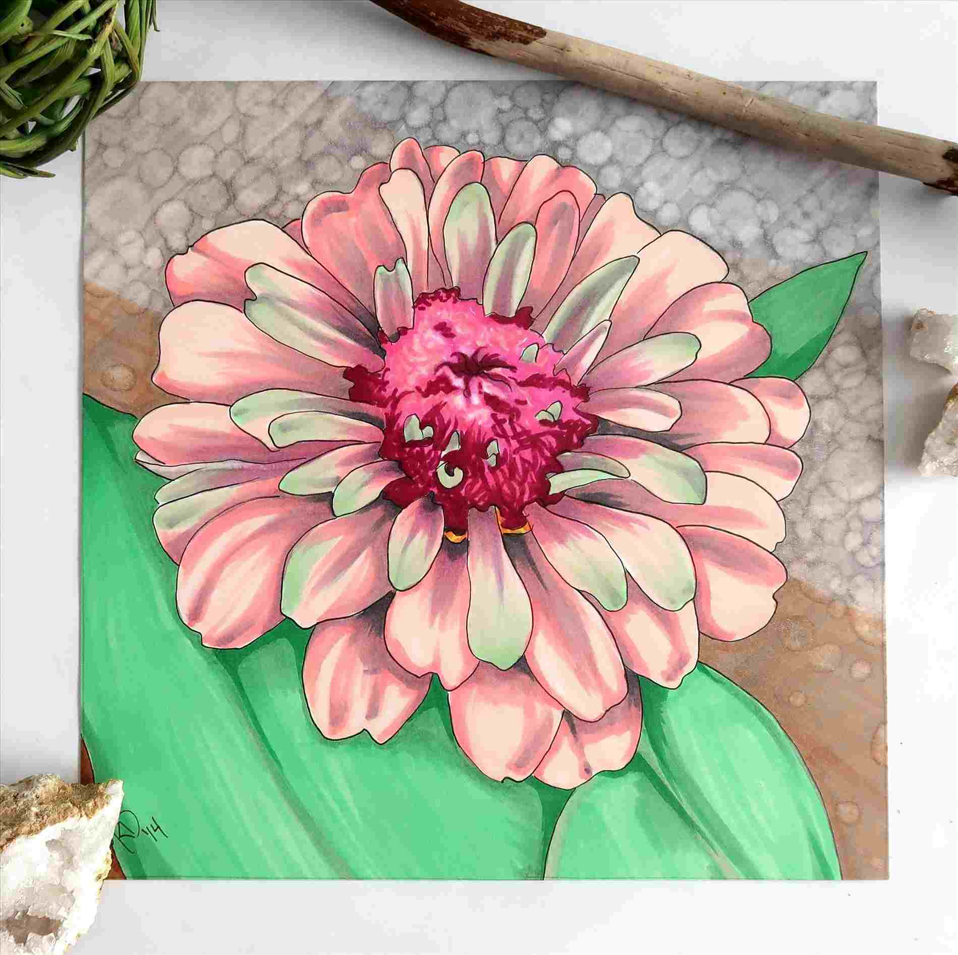 Zinnia Flower Drawing at Explore collection of