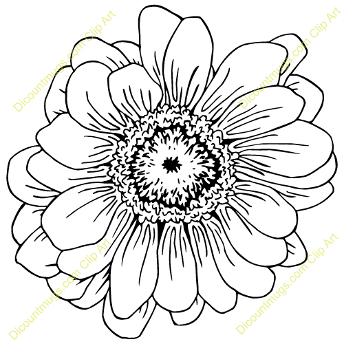 500x500 free zinnia flower clipart - Zinnia Flower Drawing