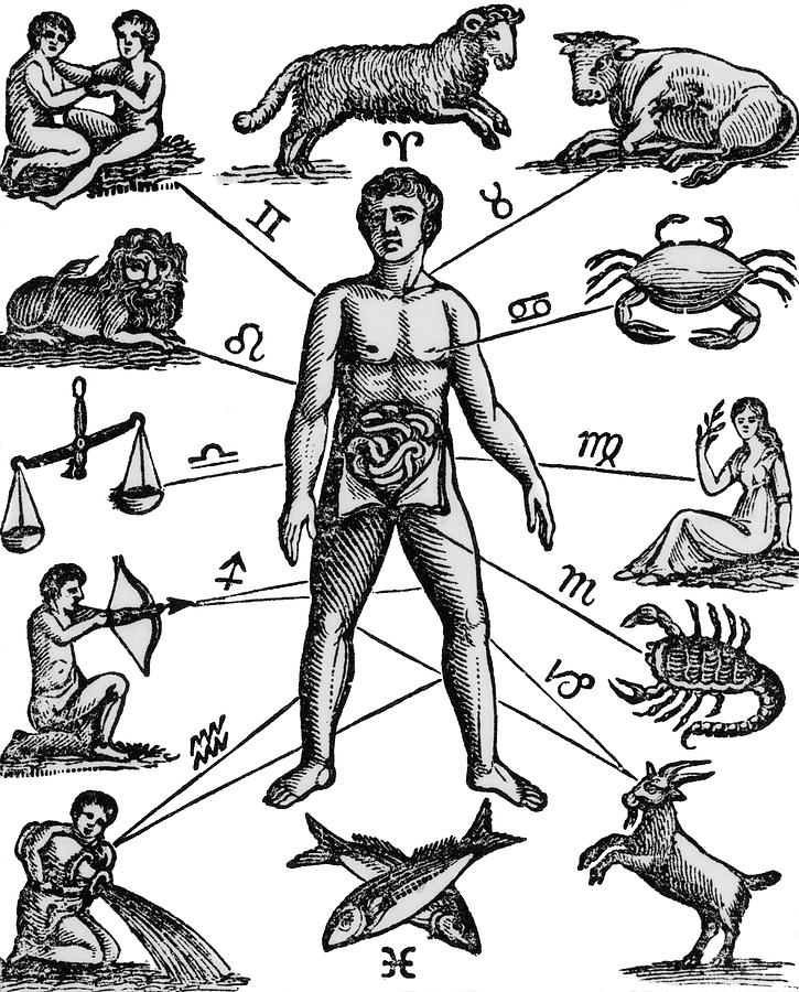 725x900 zodiac man drawing relating astrology painting - Zodiac Drawings