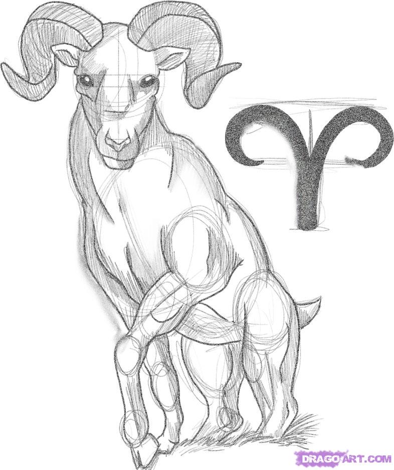786x937 how to draw zodiac sign aries, step - Zodiac Signs Drawings