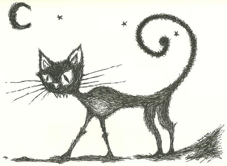 736x538 Zombie Cat Drawing - Zombie Cat Drawing