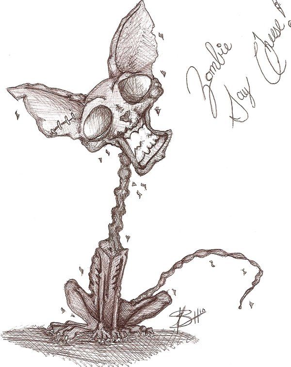600x757 Drawings - Zombie Cat Drawing
