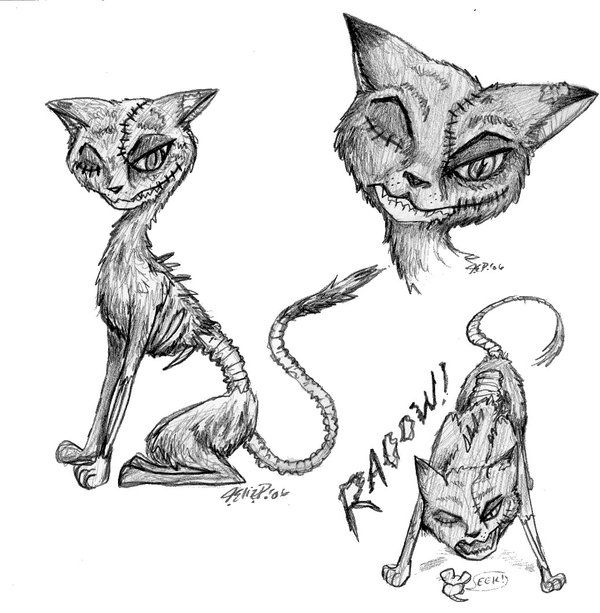 600x613 Zombie Sketches Zombie Cat Drawings - Zombie Cat Drawing