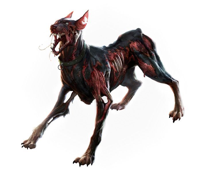 704x591 resident evil sketches resident evil - Zombie Dog Drawing