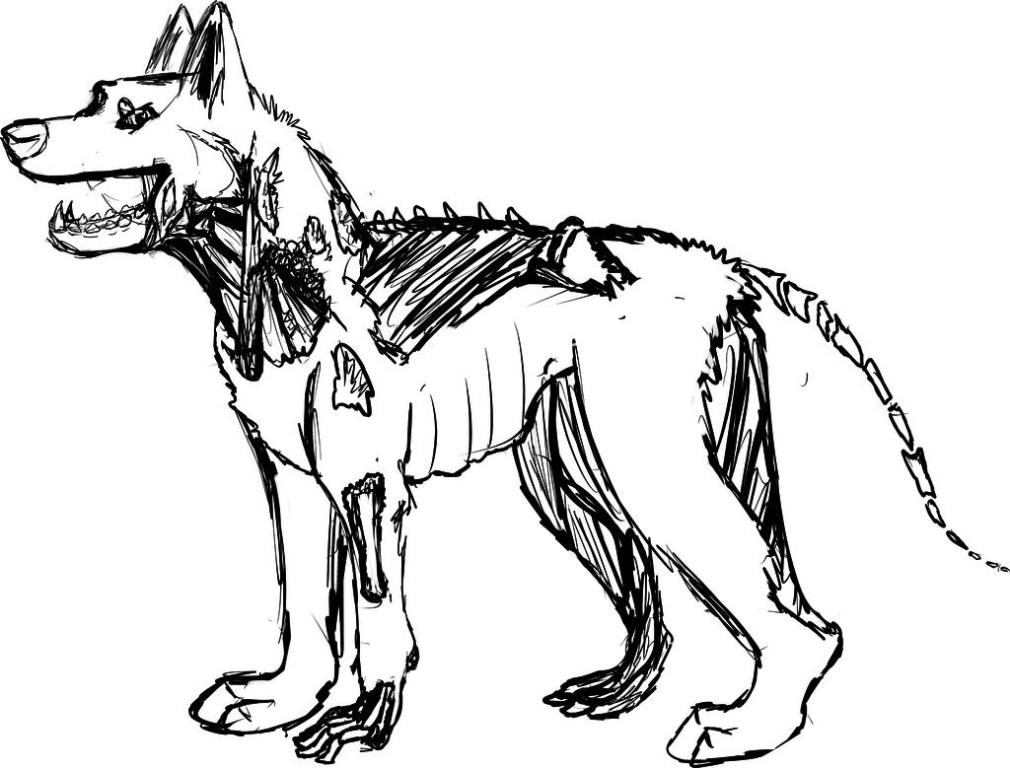 Zombie Dog Drawing at Explore collection of Zombie