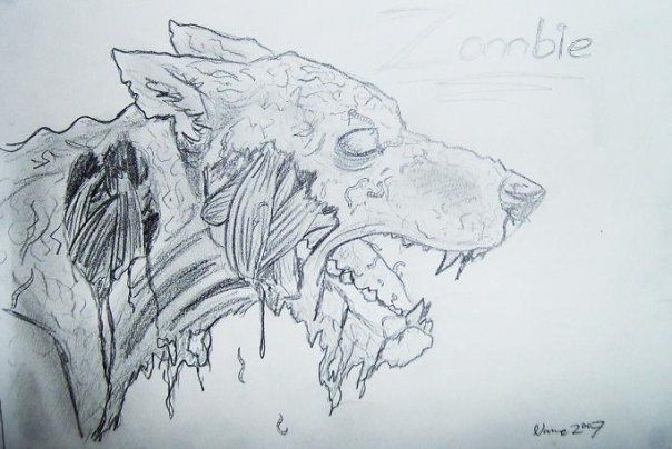 604x404 Zombie Dog Studio Moose Art, Art, Sketches - Zombie Dog Drawing