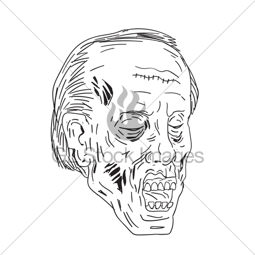 500x500 Zombie Head Eyes Closed Drawing Gl Stock Images - Zombie Head Drawing