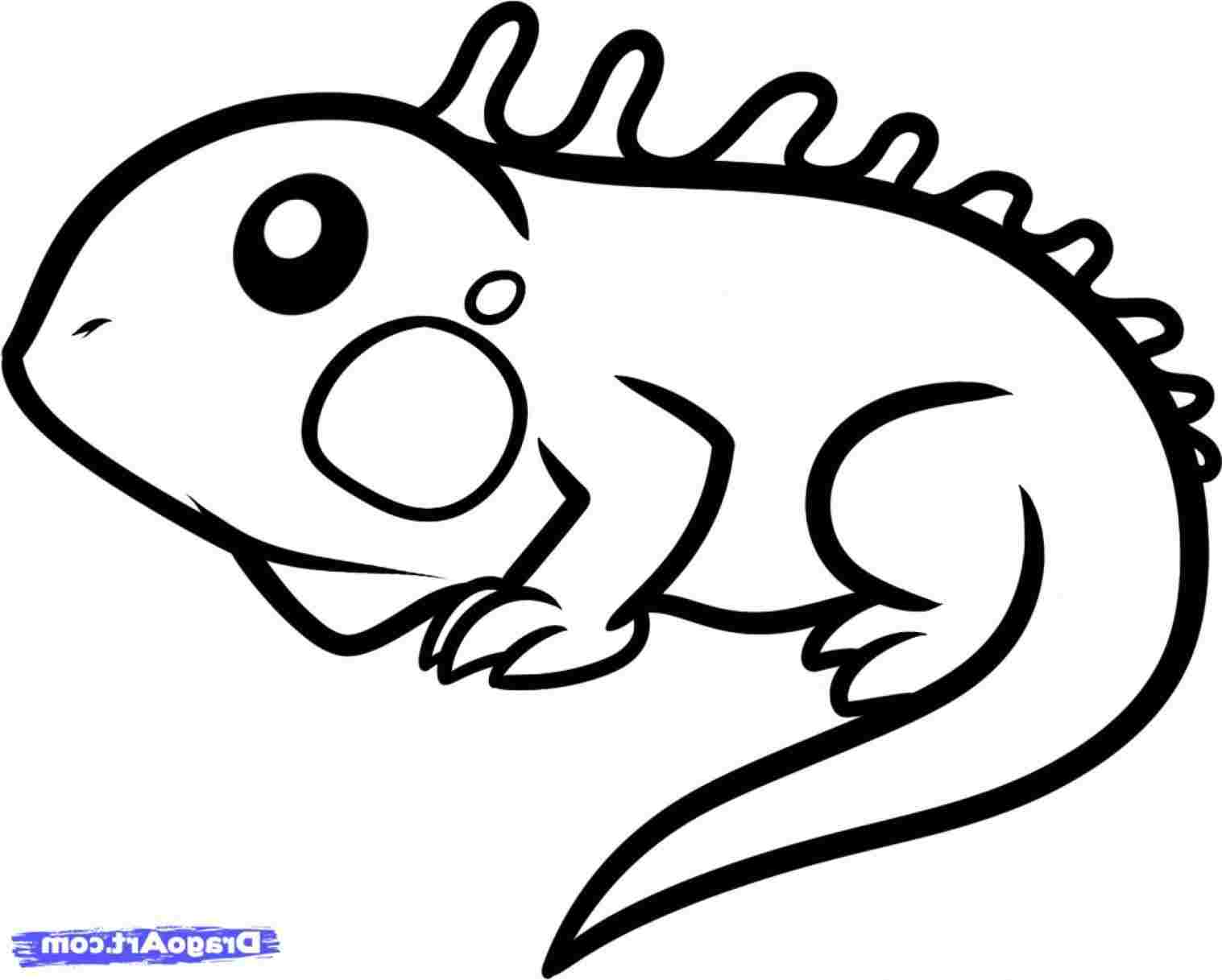 1517x1217 animals drawings of zoo animals free for personal use rhgetscom - Zoo Animals Drawing