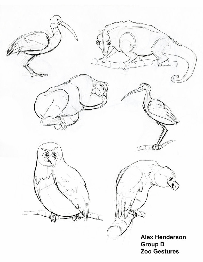 786x1017 Wonderful Drawings Of Zoo Animals Gestures Pag - Zoo Animals Drawing