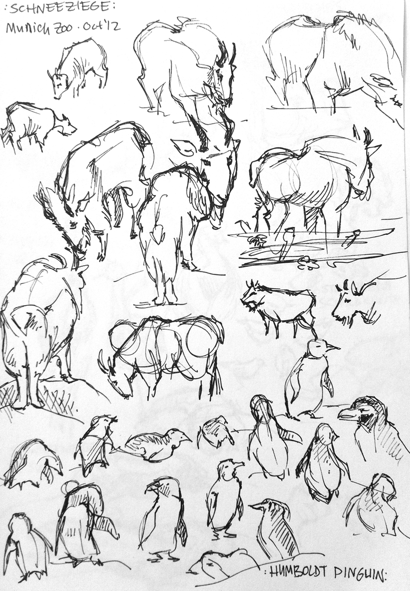 823x1185 Drawings Zoo Animals Emily Bee - Zoo Animals Drawing