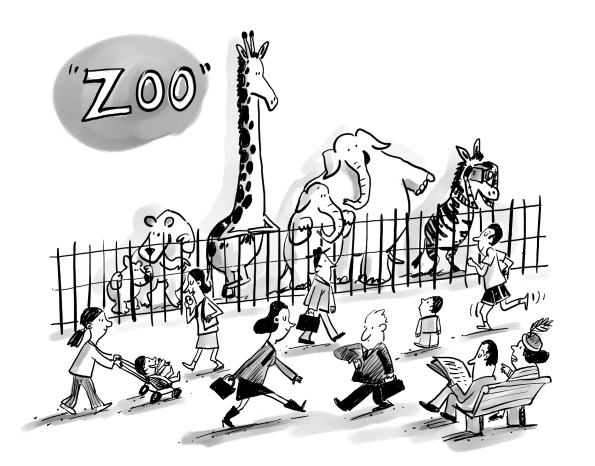 595x466 If The Zoo - Zoo Cartoon Drawing